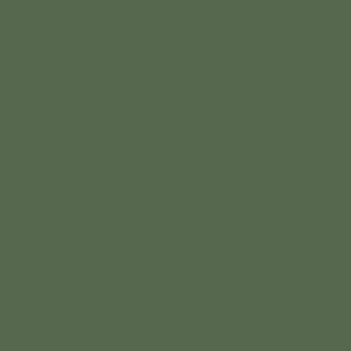 Carriso Organic Cotton Short - Vineyard Green - Image 9