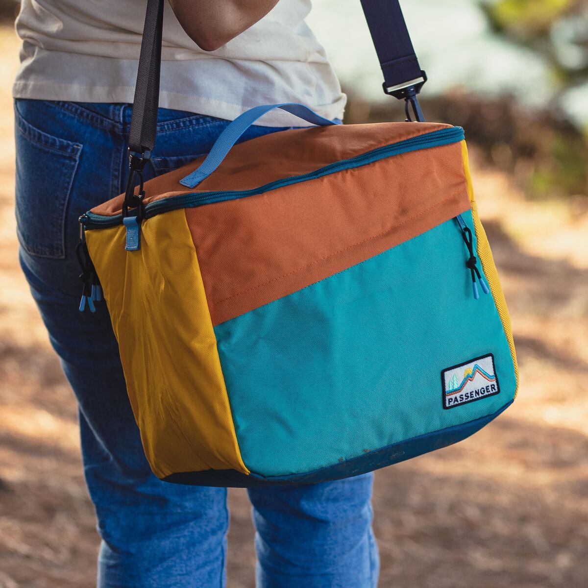 Day Pack Cooler Bag - Multi Colour