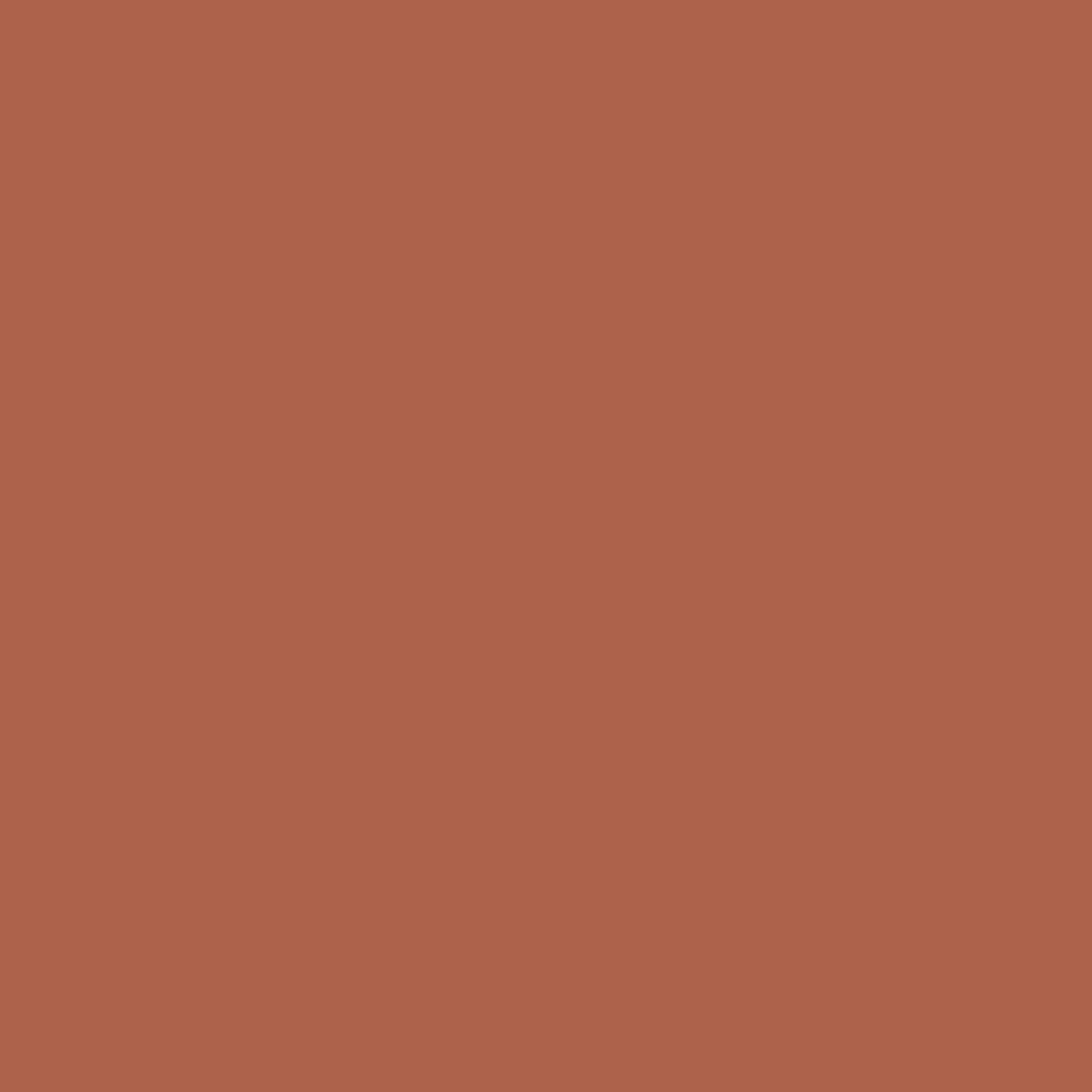 Odyssey Organic Cotton T-Shirt - Burnt Orange - Image 12