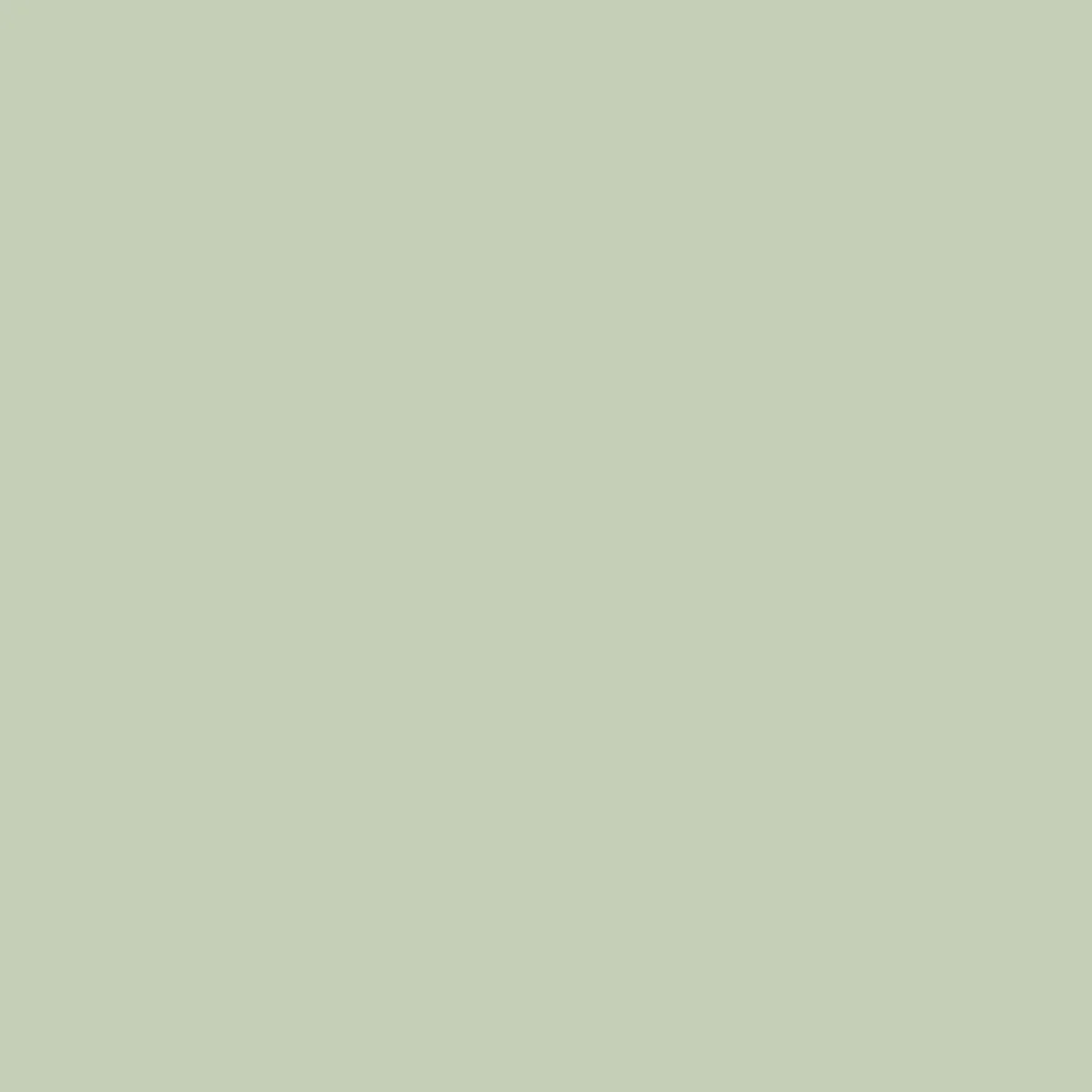 Sundaze T-Shirt - Tender Greens - Image 3